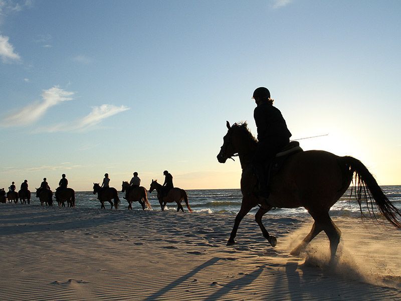 Rutas a caballo Ándara viajes